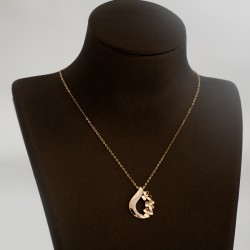 NK2039 عقد الوردة الأنيقة (الدمعة)