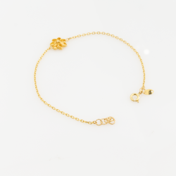 BR919 إنسيال آيرس BR919 إنسيال آيرس