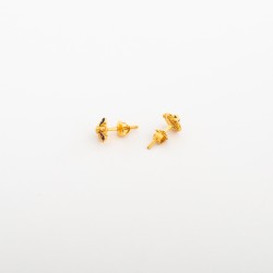 ER329 شاهنور (حلق هندي)