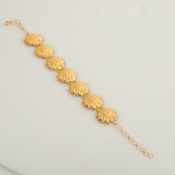 BR931 انسيال أصيل (شمس)