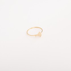 RN595 خاتم كاشيك (ديلوكس)