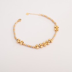 BR854 انسيال هوغنس 