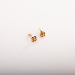 ER708 حلق قولدفان ("كاجليد"متعدد الالوان)