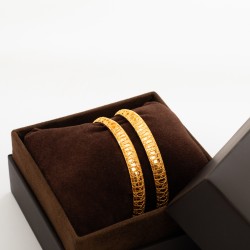 BR804 معضد دينو تصميم عالمي