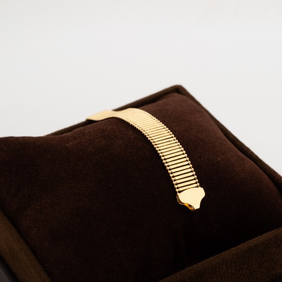 BR815 انسيال لورنتس BR815 انسيال لورنتس