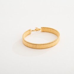 BR811 سوار لورنتس (الذهبي)