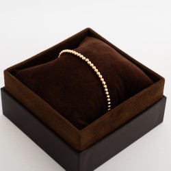 BR837 انسيال بادوفا (لانا  "`ذهبي")