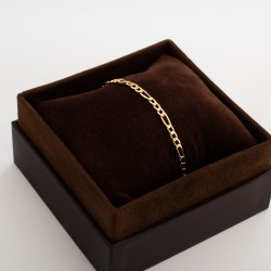 BR831 انسيال فارتيما (الجنزير)