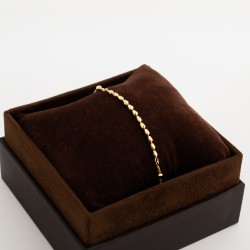 BR820 انسيال آيالا