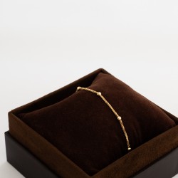 BR829 انسيال أرنست