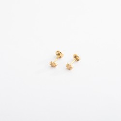 برادل (حلق طبي)