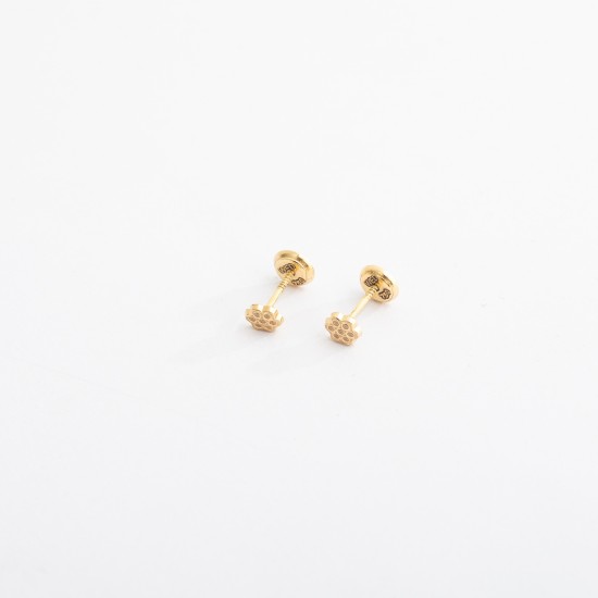 برادل (حلق طبي)