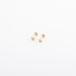 التاج (حلق طبي)