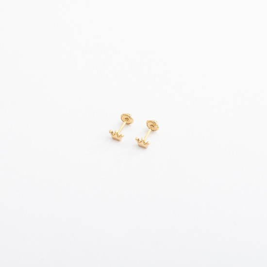 التاج (حلق طبي)