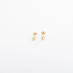 التاج (حلق طبي) التاج (حلق طبي)