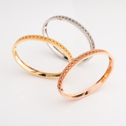 BR898 دينو (سوار "روز قولد")