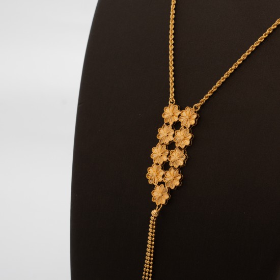 LN193 آيرس (سبحة)