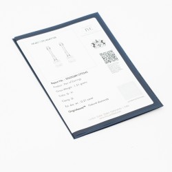 DER99 مونك (حلق الماس)