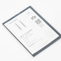 DER97 نيلسي (حلق الماس)