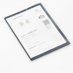 DER94 ويلان (حلق الماس)