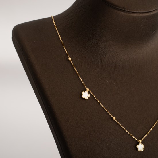 NK2080 عقد فوكر (بويس)