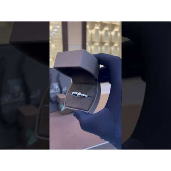 DRN172 توينز إليغانت (الماس) DRN172 توينز إليغانت (الماس)