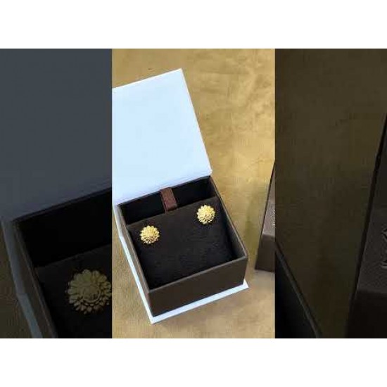 ER729 حلق الأصيل (شمس) ER729 حلق الأصيل (شمس)